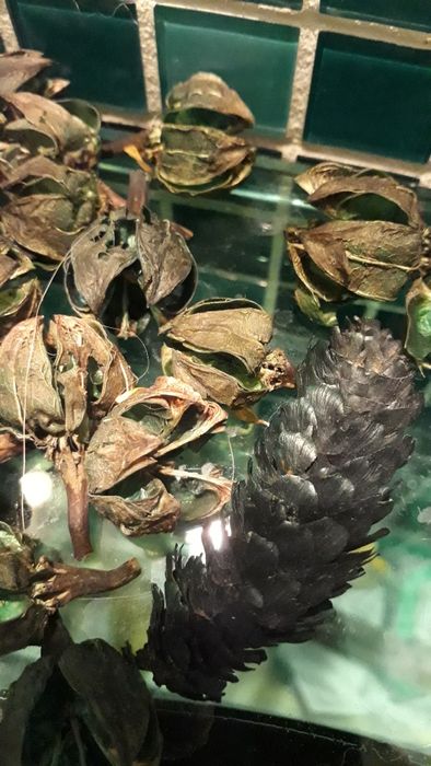 Продам декор для ваз