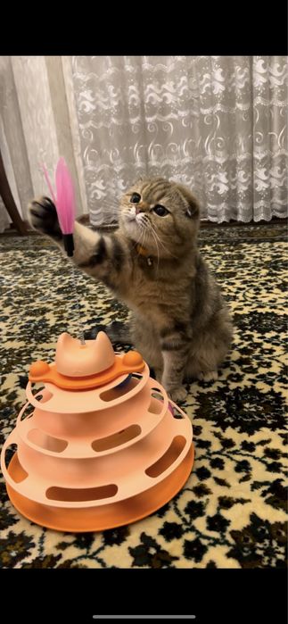 Игрушка для кошек