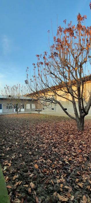 Дурмень.центр.9с.11.хона