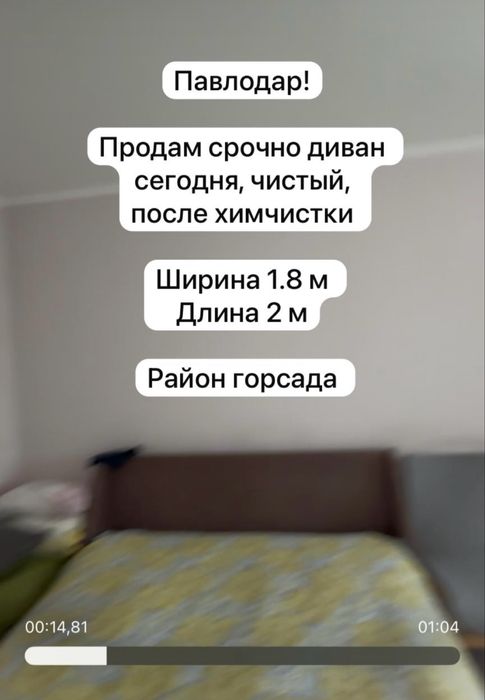 Диван чистый после химчистки