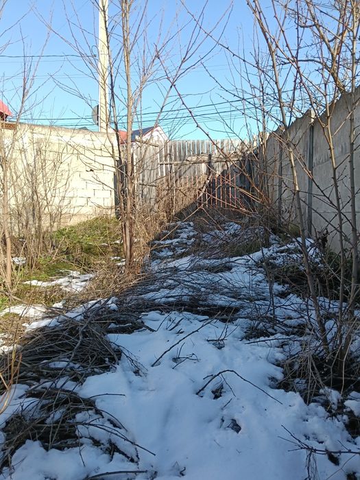 Vând teren cu  casă veche demolabila 233mp