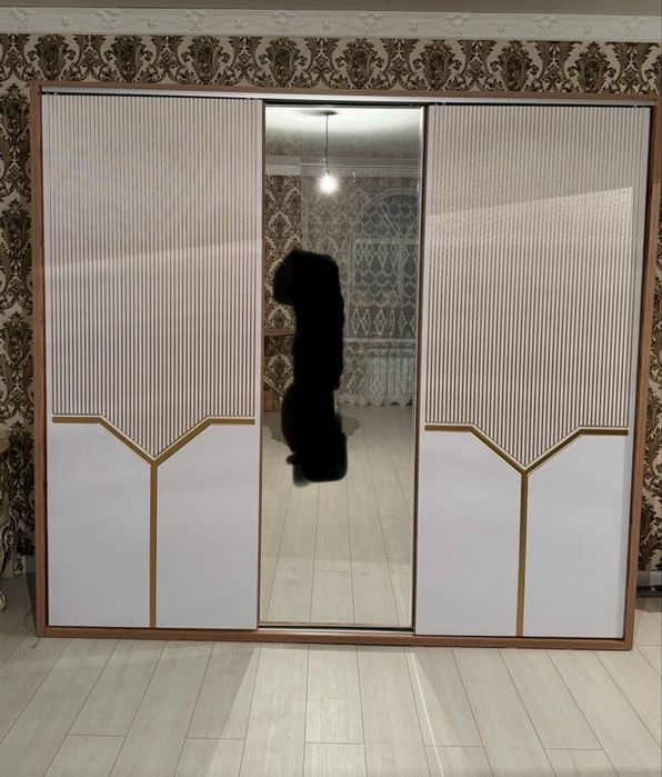 Шкаф купе 243х222х60 см,
