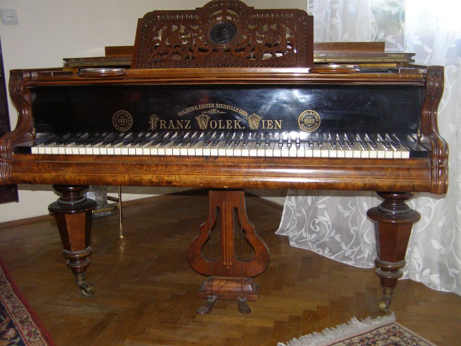 Pian Franz Wolek -Wien