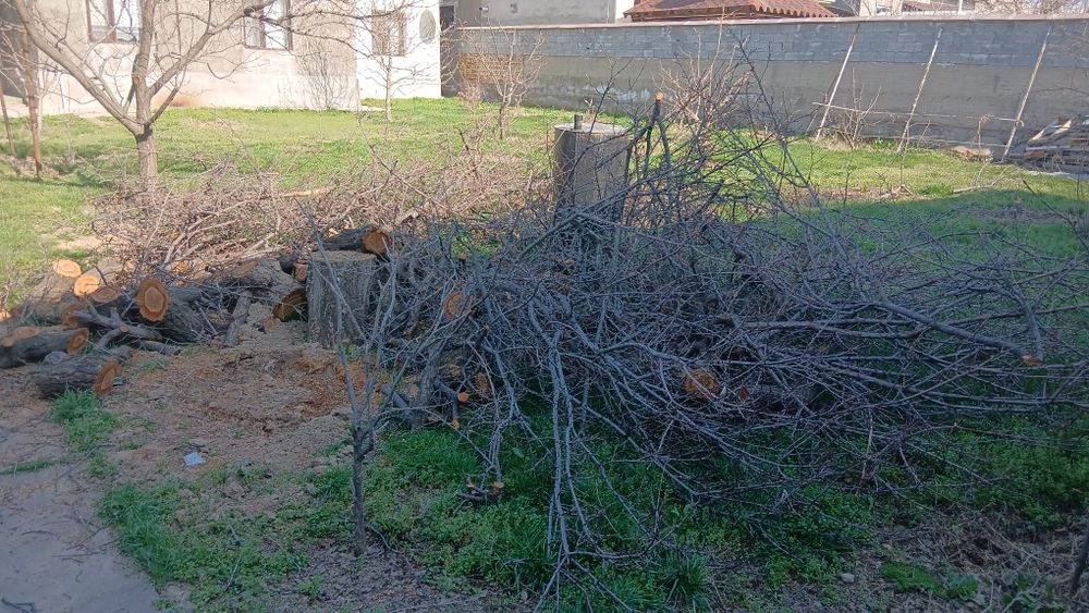 Отын кімге керек  тегін