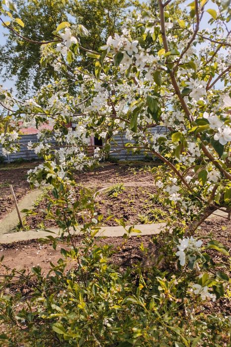 Продается частный дом