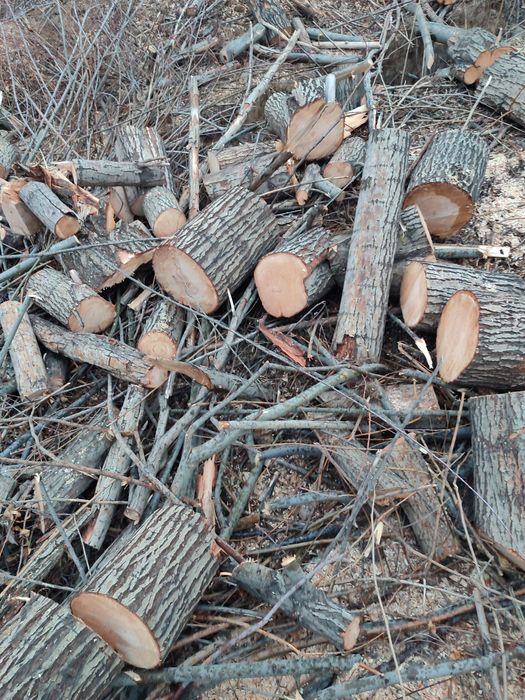 Отын бар бағасын келісеміз