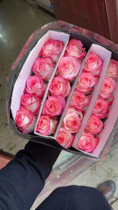 Акция Оптом розы 450 розница 650