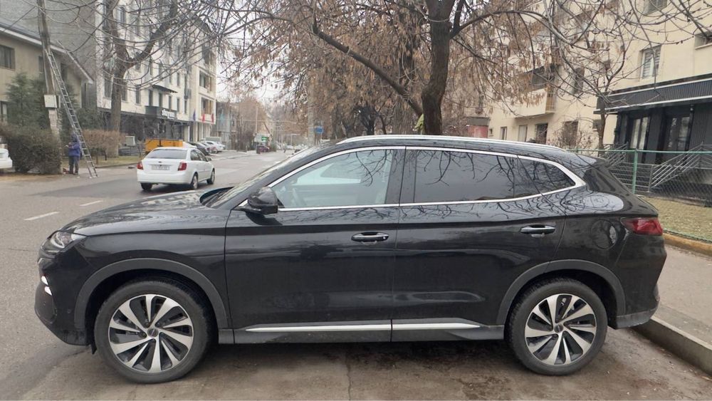 BYD Chempion 2023