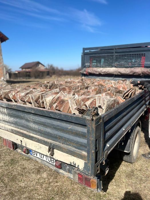 Țiglă solzi ff bună 1 un leu.