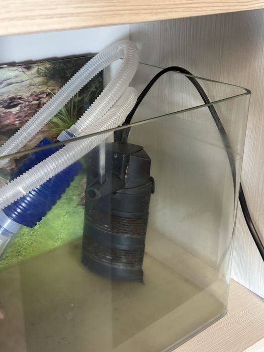 Acvariu pesti + accesorii