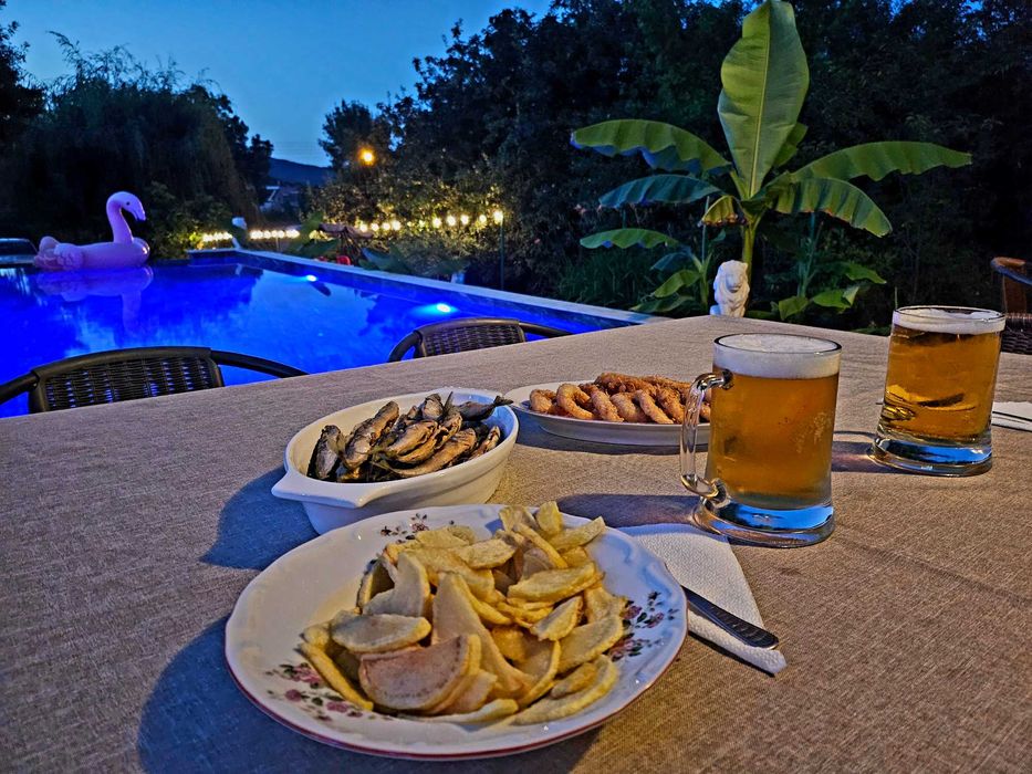 Вила за гости Синьо Лято