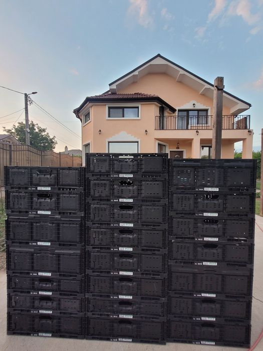 Cutii Plastic Colapsabile PEHD Calitate Maxima