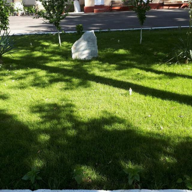 Газон ва гуллар хизмати