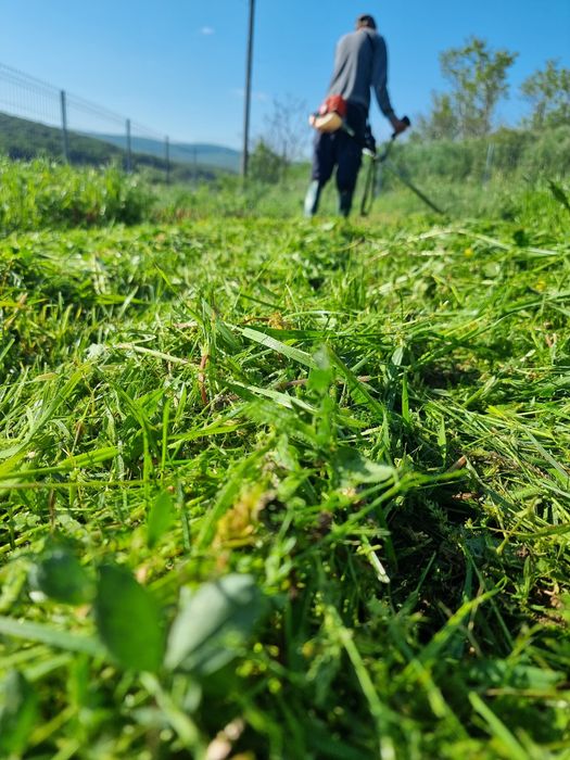 Servicii peisagistica și întreținere grădini