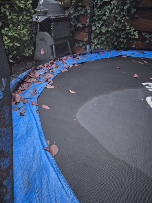 Vand trambulina Mappy 244 cm - Voluntari/Pipera