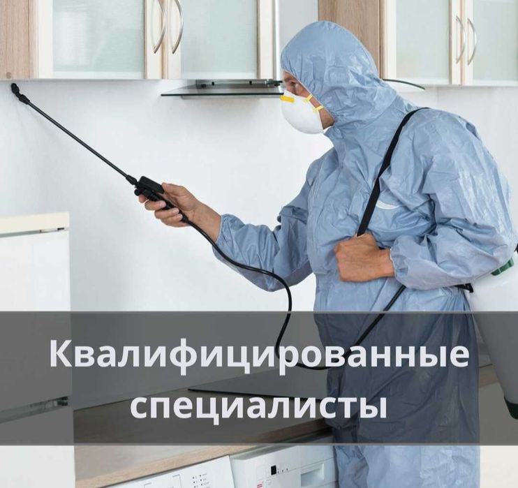 Уничтожение  блох,клопов, тараканов. Дезинсекция
