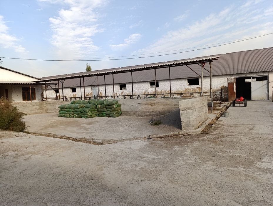 Янги У́збекистон срочно 10 сот не жилой