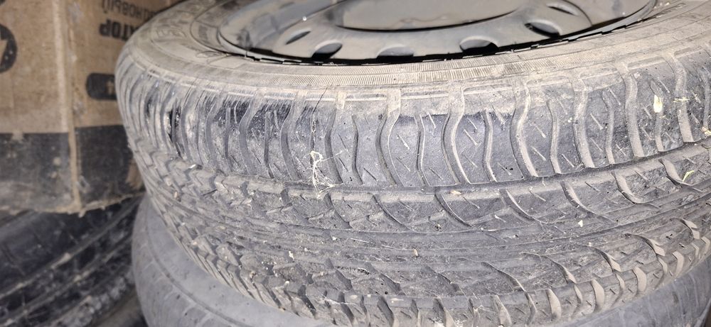 Шипы.Балон сатылады