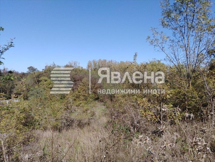 Продава се Земеделски имот в Царево -  кв.м за 30 €/дка - Снимка #2