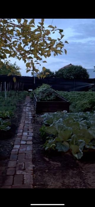 Продам дом в соцгороде