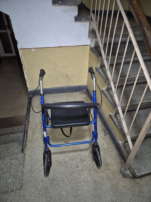 cadru medicinal batrani