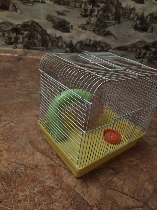 Продам  клетку  для хомяка