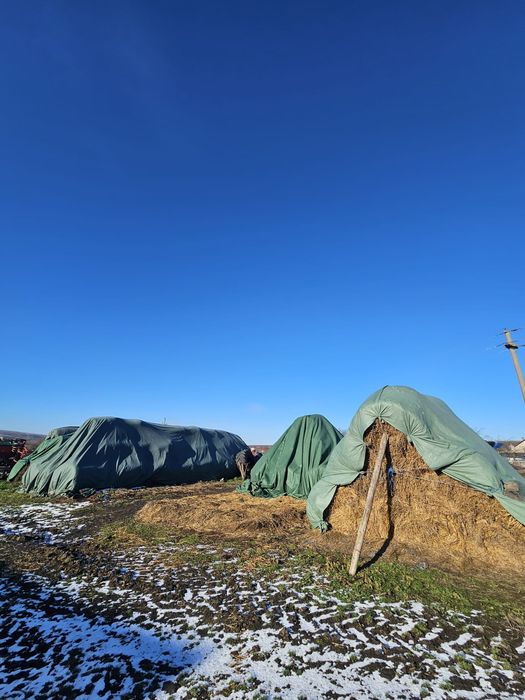 Vând baloți lucernă si fân