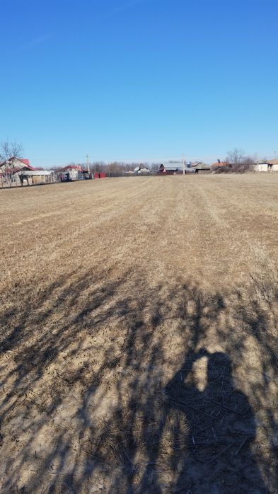 Vind 6700m teren intravilan