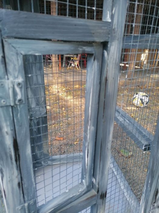 Colivie de vânzare sau schimb cu papagali