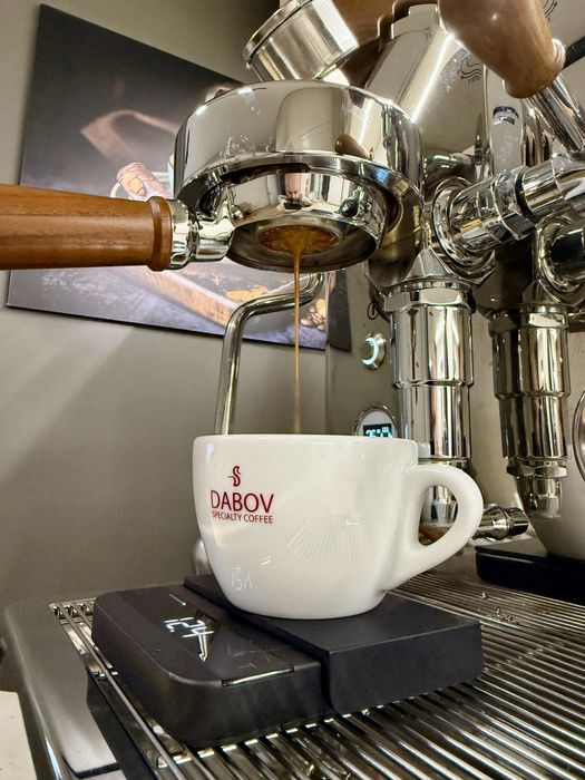 Кафемашина Lelit Bianka професионална