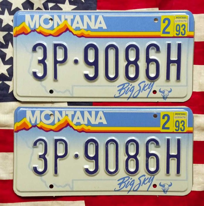 Американски Регистрационни Номера Табели USA Комплект ЧИФТ