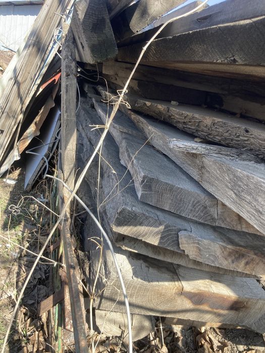 Распиленный  дуб