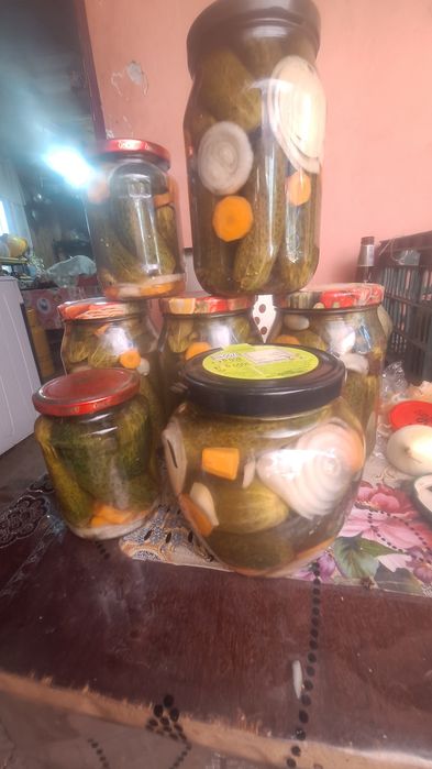 Vând castraveti murați,ardei bulgăresc,gheara găinii!!