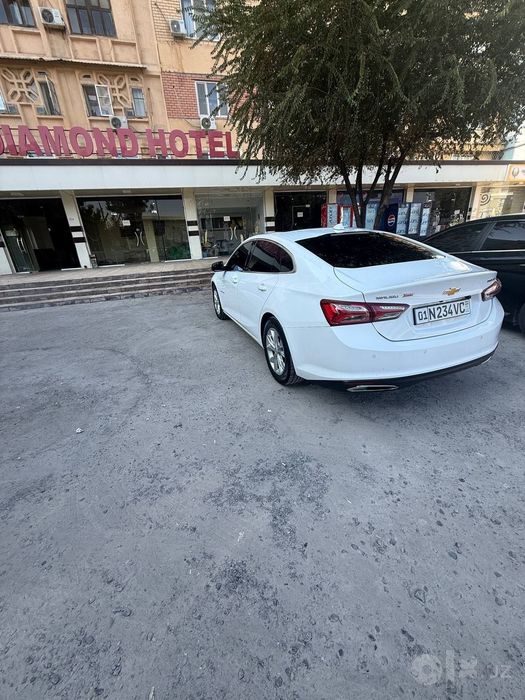 Srochna sotladi malibu premier