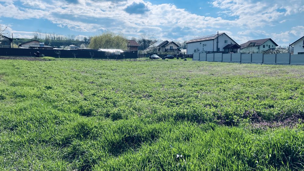 Teren, loc de casa