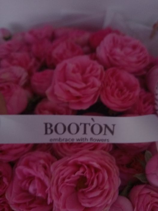 Большой букет цветов BOOTON