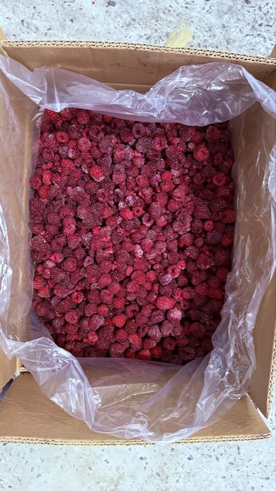 Замороженная отборная малина. Dona dona malina