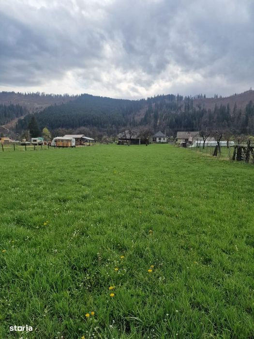 Vindem teren in Vatra Moldovitei - Bucovina