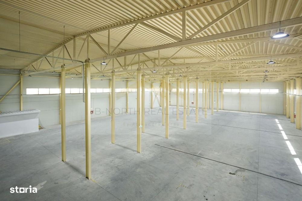 Hala industrială 2.000 mp • Depozitare / Producție • Rampe încărcare •