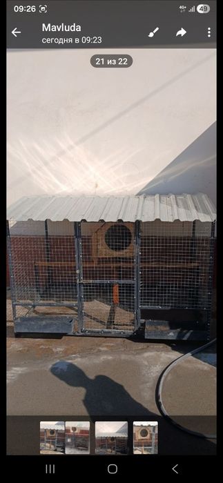 Товук катак сотилади