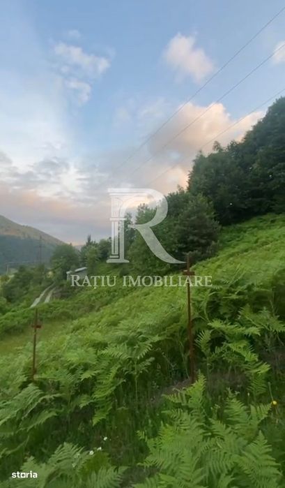 Teren 10.900mp | Panoramă în Apuseni | Remeți -Ideal pentru Investitii