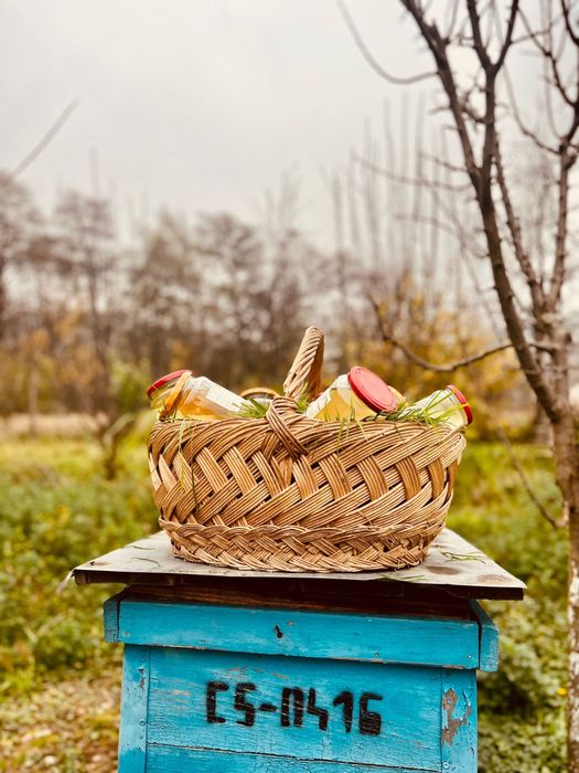 Miere/Polen/Propolis