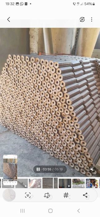 Presă brichete pinikei