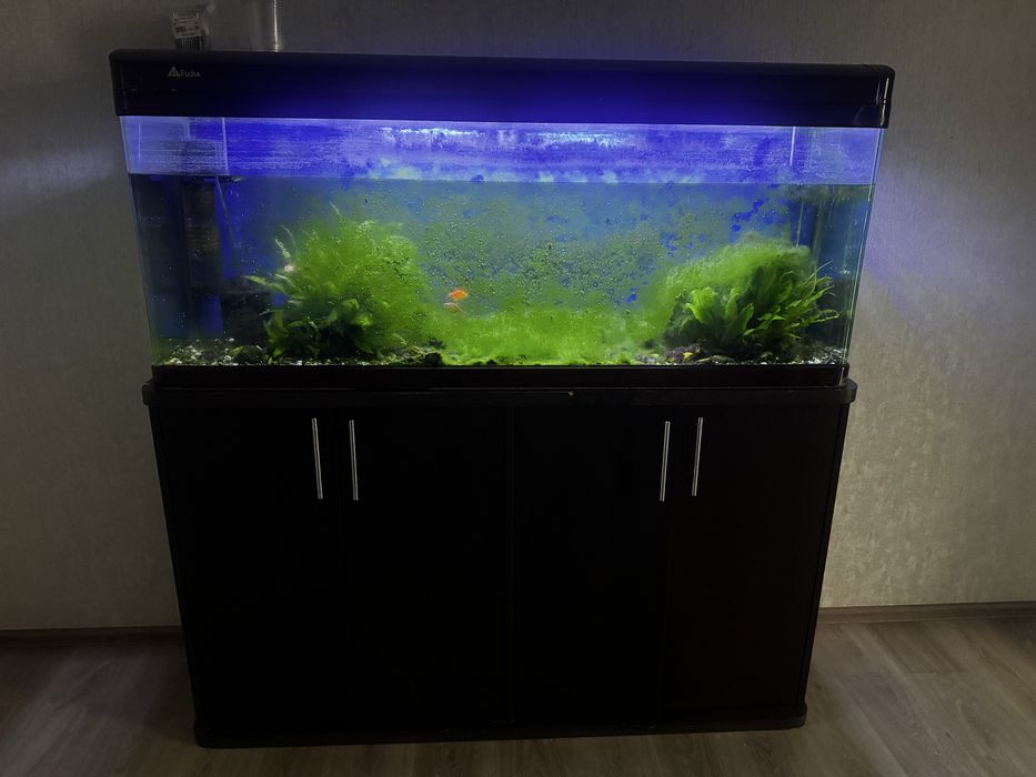 Продам аквариум 270 л