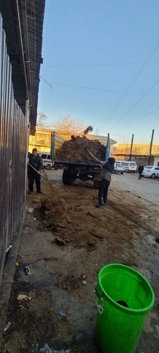 куй гунги бесплатно