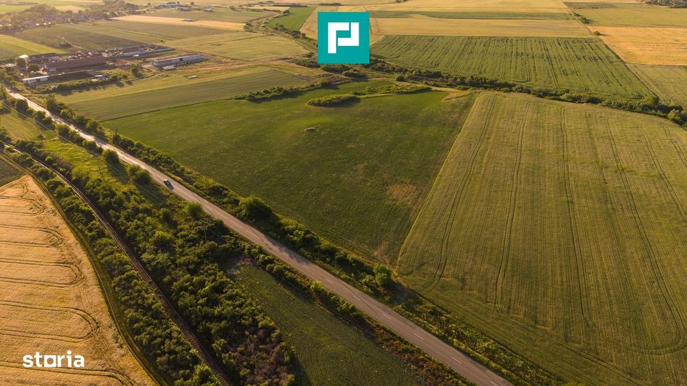 Teren Extravilan De 42.200 Mp Secusigiu