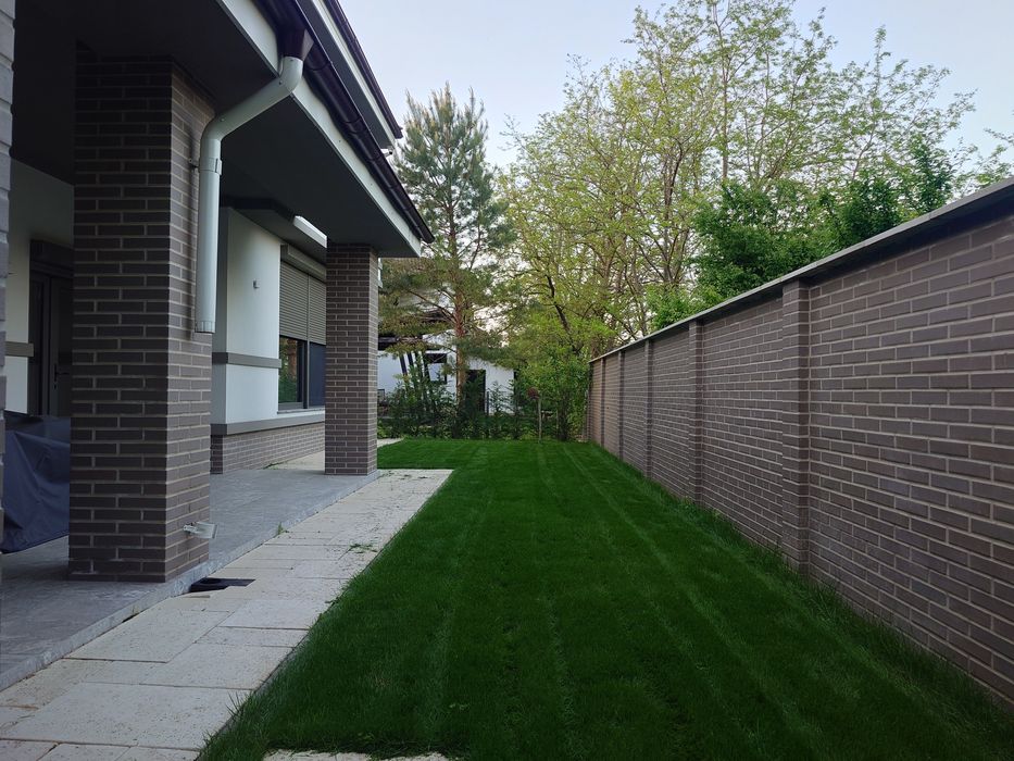 Tuns gazon / scarificare / fertilizare / curatare pomi