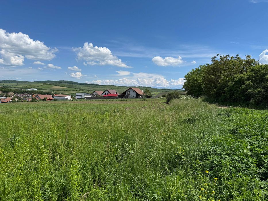 De vânzare - Doua parcele de teren intravilan Șura Mare - Vedere 4