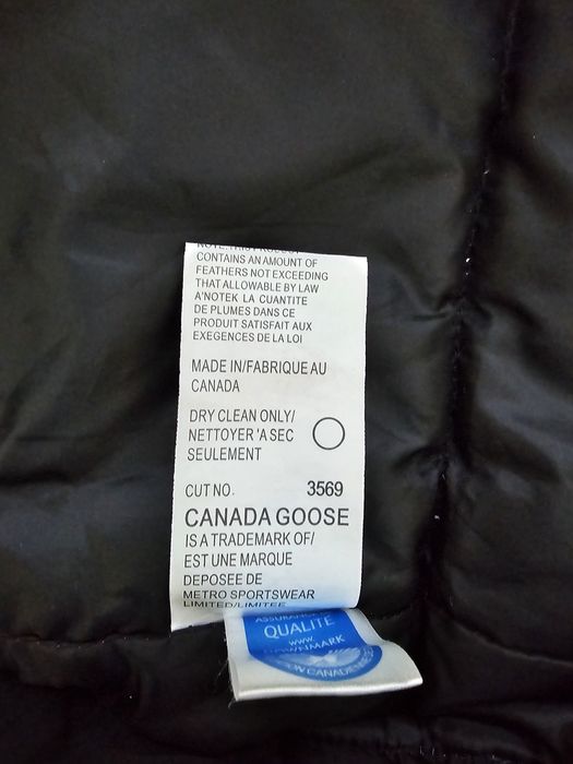 Vesta barbati Canada Goose