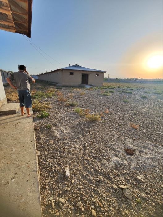 Паррандачилик ва Чорвачилик  фермаси сотилади